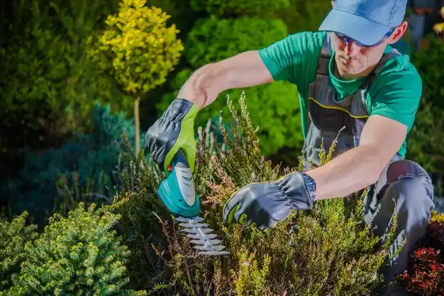 landscaping services Myrtle